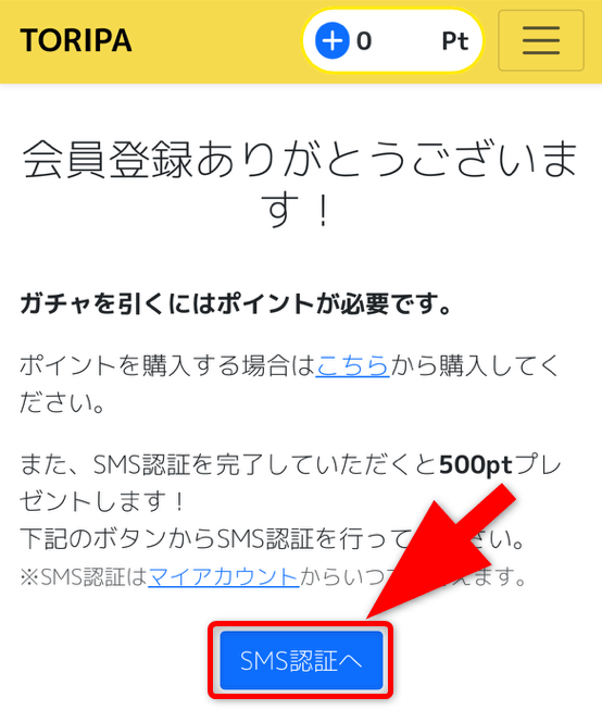 無料ポイントをもらう手順