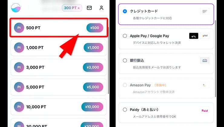 ポイント購入の手順